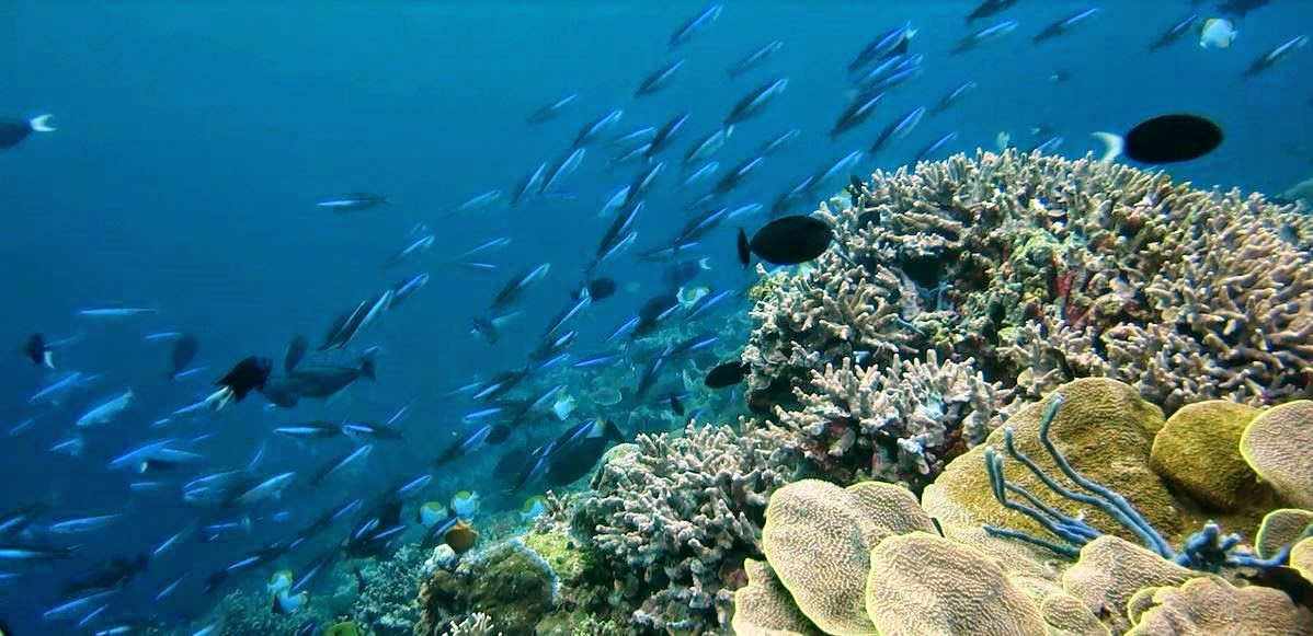 Raja Ampat
